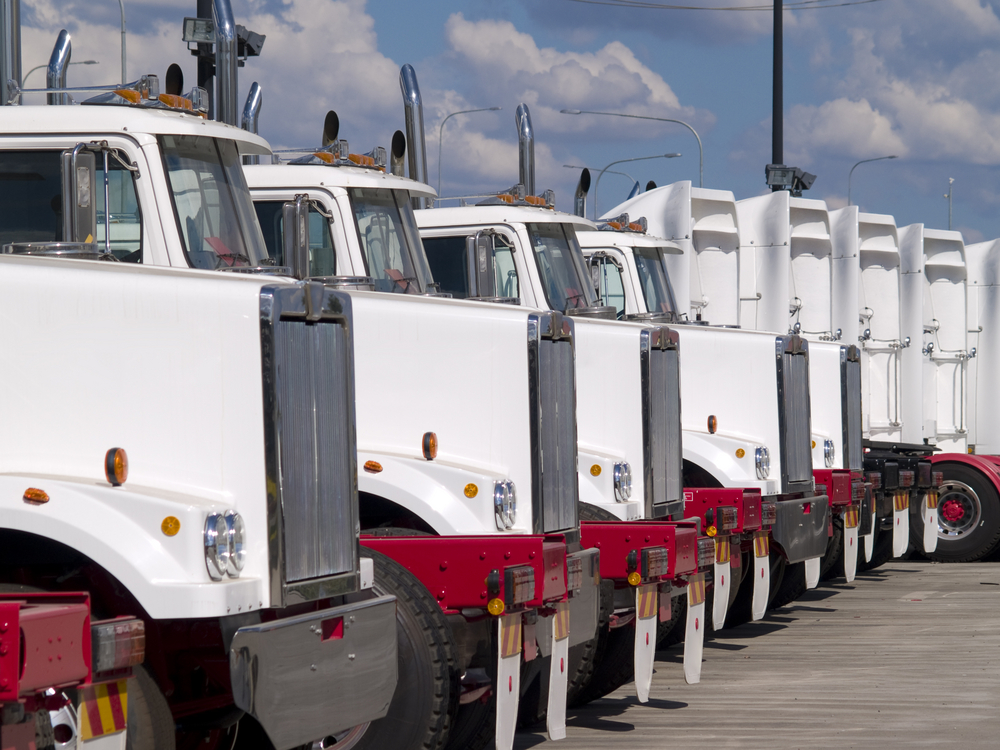 A row of white semi trucks.